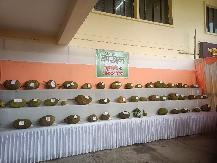 JACKFRUIT DISPLAY